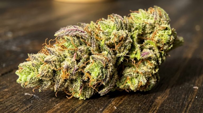 Devils Lettuce strain review