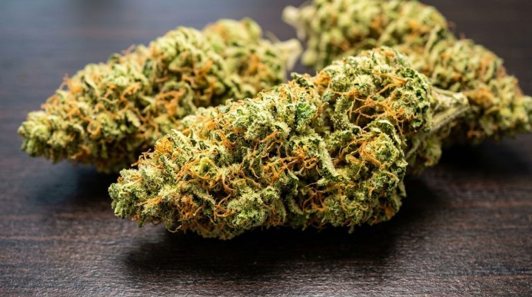 Hella Jelly Aka Jelly Rancher cannabis strain review
