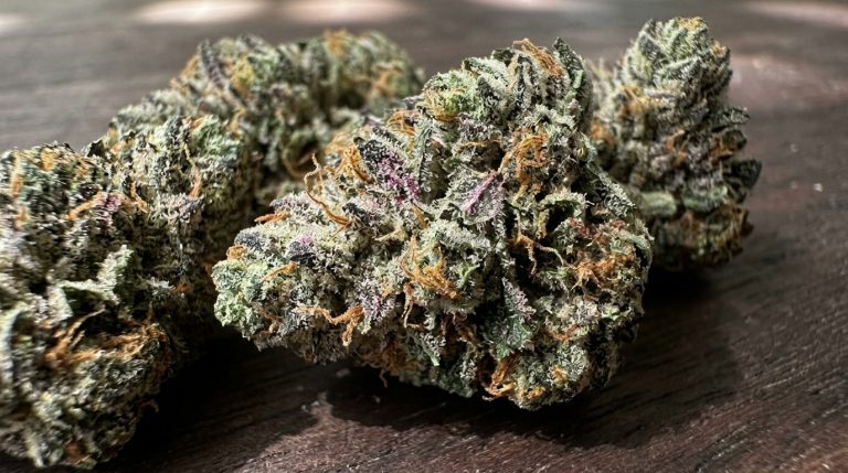 Lemon Tree strain review