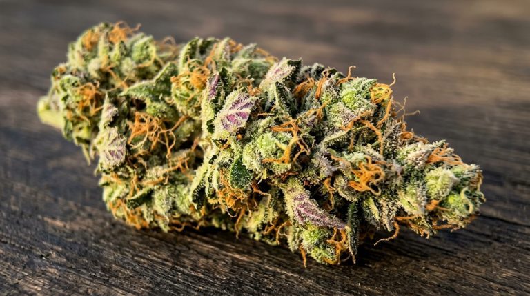 Orange Creamsicle strain review