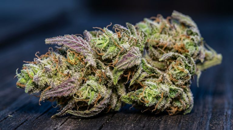 Pink Lemonade strain review