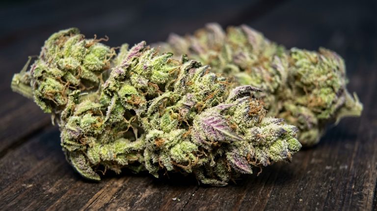 Lilac Diesel strain review