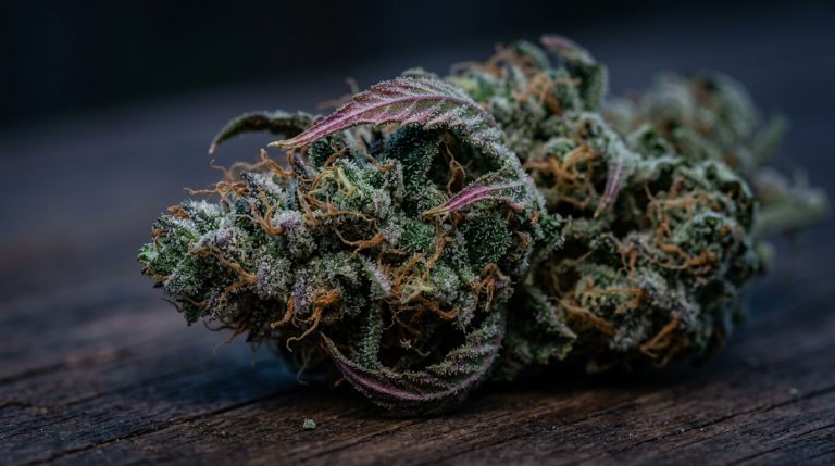 Point Break strain review